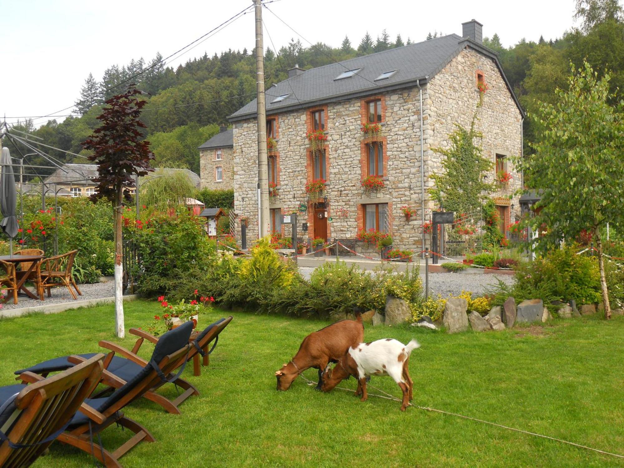 Salmchâteau B&B Nord Sud מראה חיצוני תמונה